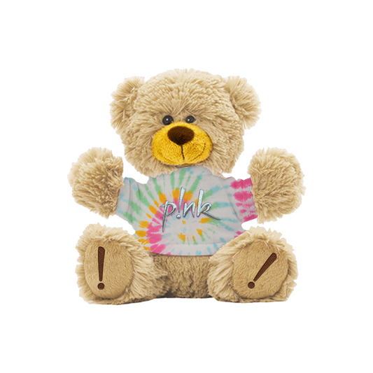 Tie Dye Plush Teddy Bear